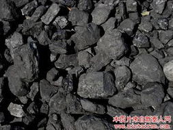 無煙煤塊與水產品 優質能源與健康美食的雙重商機